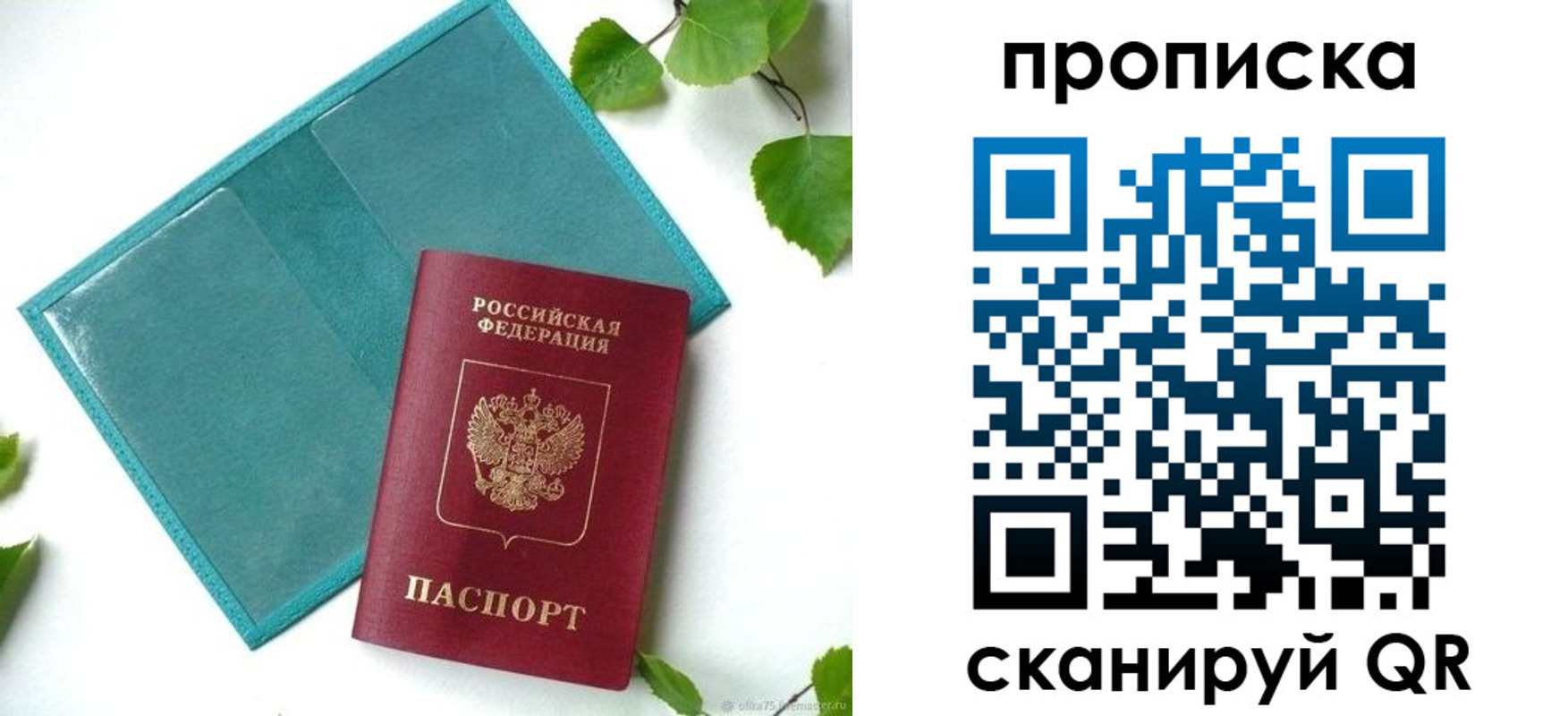 прописка штамп в Тайге